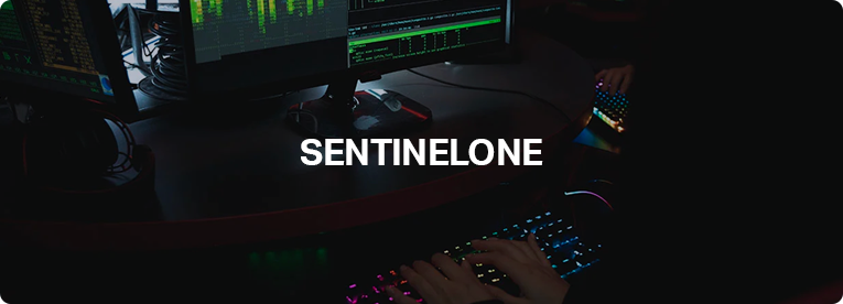 Sentinel one banner