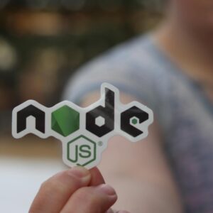 WordPress kode på udviklings-skærm