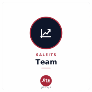 SaleITS Team