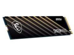 MSI
